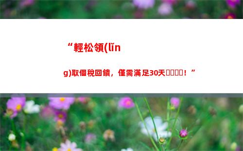 “輕松算出你的稅后收入，了解個稅真相！”